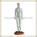 Modelo humano de la acupuntura de la ISO, acupuntura de lujo Modelo masculino 46CM HR-502